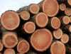 Актуальні ціни на деревину від Української енергетичної біржі